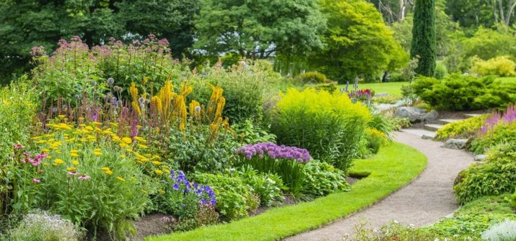Jakie rośliny ogrodowe są idealne do nasadzeń wzdłuż ścieżek i alejek?