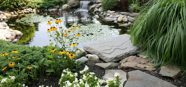 oczko wodne w ogrodzie